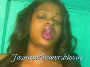 Jasmineflowersbloom