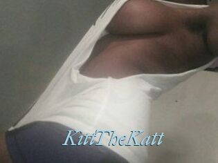 Kitt_The_Katt