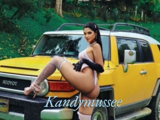 Kandymussee