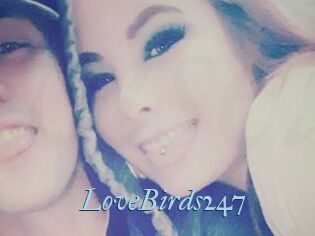 LoveBirds247