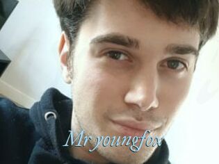 Mr_youngfox