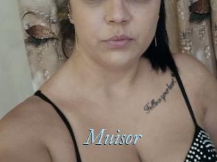 Muisor