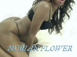 NUBIAN_FLOWER