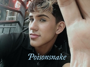 Poisonsnake