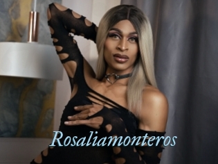 Rosaliamonteros