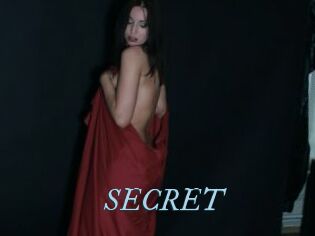 SECRET