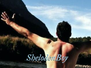 ShelodonBoy