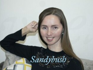 Sandybush