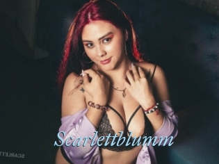 Scarlettblumm