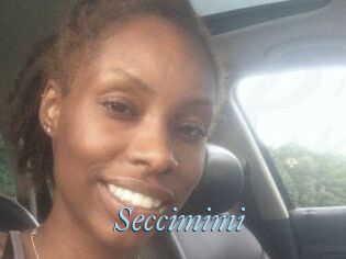 Seccimimi