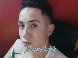 Shane_hook