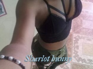 Sharlot_bunny