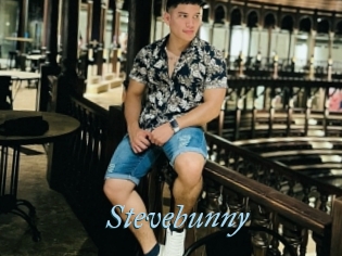 Stevebunny