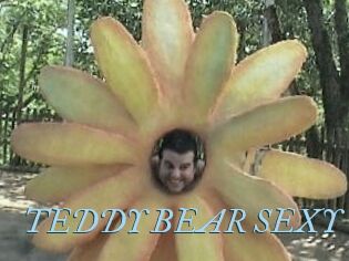 TEDDY_BEAR_SEXY