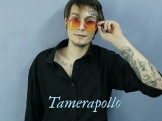 Tamerapollo