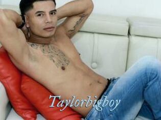 Taylorbigboy