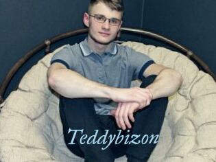 Teddybizon