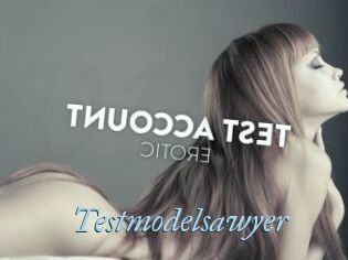 Testmodelsawyer