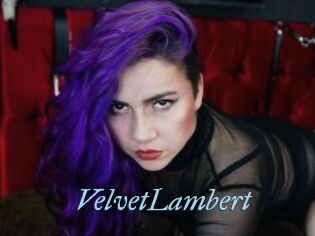 VelvetLambert