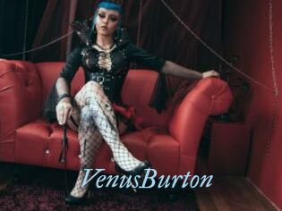 VenusBurton