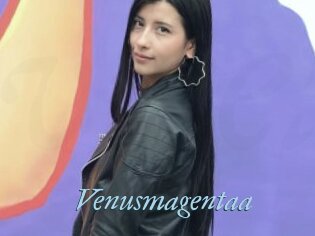 Venusmagentaa