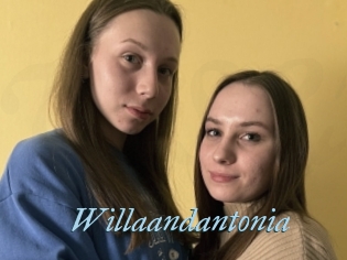 Willaandantonia